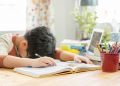 Belajar Tapi Cepat Lupa? Coba Teknik Active Recall dan Spaced Repetition