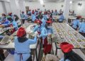 Penutupan SPPG Jadi Langkah Korektif, BGN Perkuat Pengawasan MBG