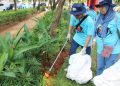 World Cleanup Day 2026 Tekankan Pentingnya Pilah Sampah dari Rumah