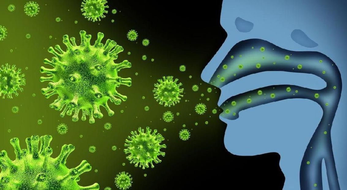 Kemenkes Catat 3 Subtipe Influenza yang Beredar di Indonesia