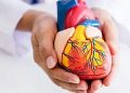 Punya Riwayat Jantung di Keluarga? Faktor Genetik Perlu Diperhatikan