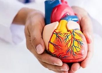 Punya Riwayat Jantung di Keluarga? Faktor Genetik Perlu Diperhatikan