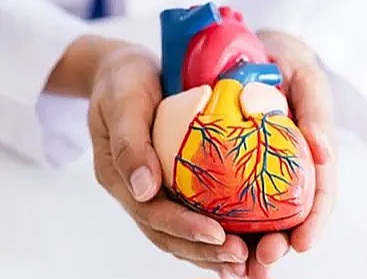 Punya Riwayat Jantung di Keluarga? Faktor Genetik Perlu Diperhatikan