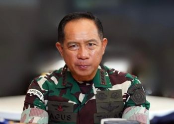 TNI Amankan 8 Senjata, Penembakan ASN Papua Diselidiki