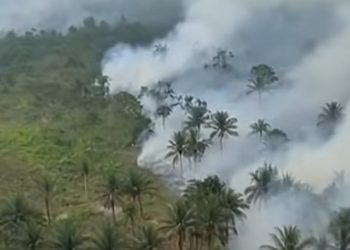 KLH Telusuri Dugaan Keterlibatan 19 Perusahaan dalam Karhutla