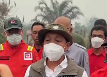 Menhut Segel Lahan Bekas Karhutla yang Mulai Ditanami Sawit