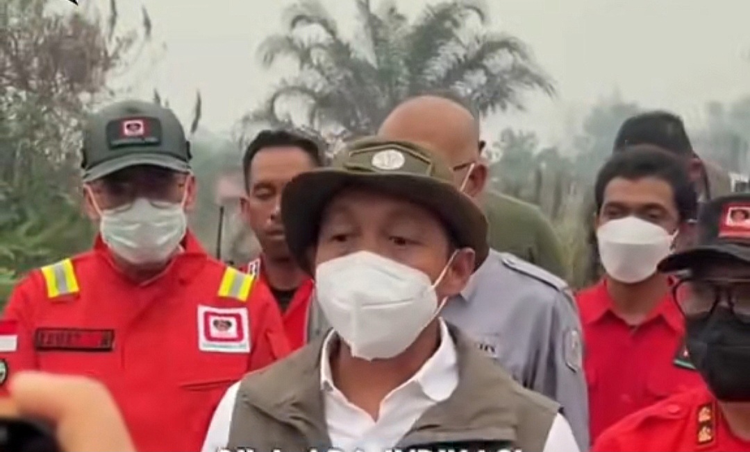 Menhut Segel Lahan Bekas Karhutla yang Mulai Ditanami Sawit