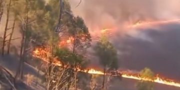 Kebakaran Hutan Meluas, Seluruh Wisata Gunung Bromo Ditutup