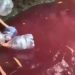 Air Kolam Gunung Sindur Bogor Berubah Merah, Warga Ramai Mengambil