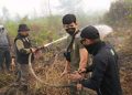 Honor Satgas Karhutla Palangka Raya Menunggak Hampir Dua Bulan