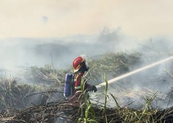 Karhutla Makin Serius, Polri Jerat 196 Tersangka
