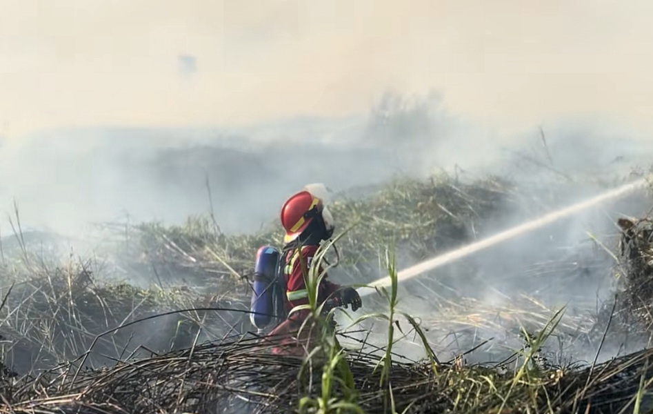 Karhutla Makin Serius, Polri Jerat 196 Tersangka