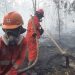 Karhutla Masih Meluas, 1.459 Hektare Lahan di Jatim Terbakar