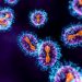 Kasus Ebola di Kongo mencapai 6.757 dengan 3.267 kematian sejak awal wabah. Inggris menyalurkan bantuan untuk memperkuat penanganan.