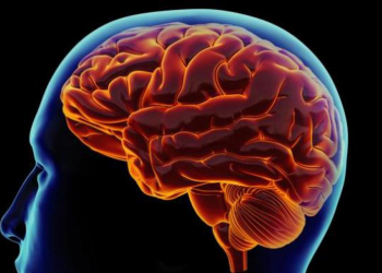 AI Bikin Otak Manusia Tumpul? Kenali Fenomena Agency Decay