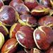 Apa yang Membuat Jengkol Punya Bau Khas?