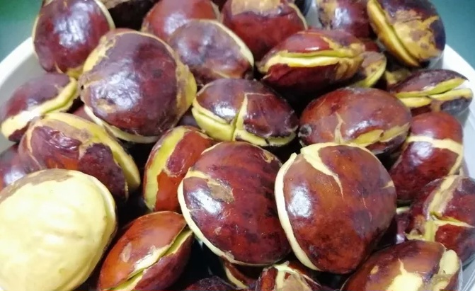 Apa yang Membuat Jengkol Punya Bau Khas?