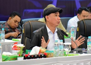 Luhut Usul Kerugian Negara Bukan Unsur Korupsi, Anggota DPR Menolak