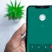 WhatsApp Rilis Fitur Guest Call, Bisa Telepon Tanpa Akun