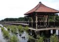 Wisata Edukasi Mangrove di Pekalongan, Pilihan Liburan yang Lebih Bermakna