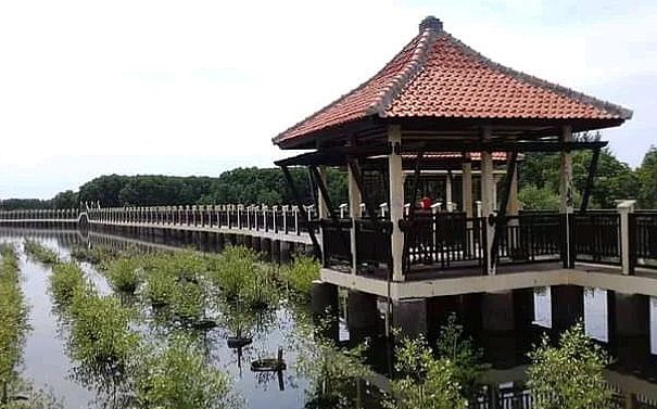 Wisata Edukasi Mangrove di Pekalongan, Pilihan Liburan yang Lebih Bermakna