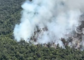 Titik Api Karhutla Tembus 793, Kalteng Paling Terdampak