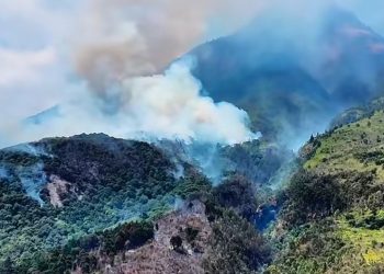 Lereng Gunung Lawu Terbakar, Petugas Hadapi Kendala Pemadaman
