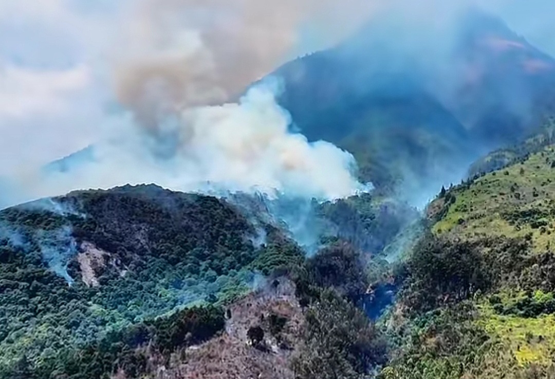 Lereng Gunung Lawu Terbakar, Petugas Hadapi Kendala Pemadaman