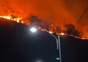 Karhutla Kepung Empat Kawasan Gunung di Jatim, Pemadaman Masih Berlangsung