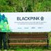 Hutan yang mengusung nama Big Bang, AKMU, Blackpink, SHINee, dan NCT hadir di Seoul melalui proyek donasi penggemar di Melon.
