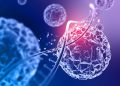 Peneliti Australia mengembangkan pendekatan untuk menargetkan fusi gen pemicu kanker, membuka peluang terapi yang disesuaikan dengan profil genetik tumor pasien.