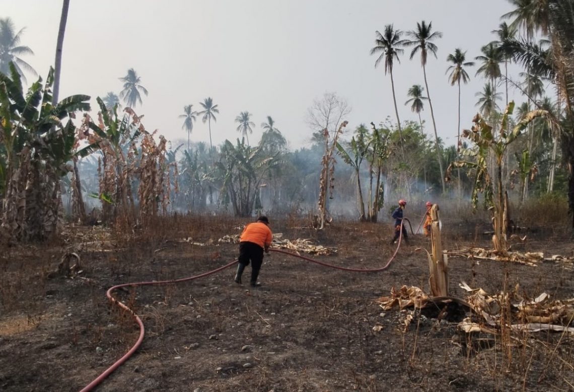BNPB mencatat kebakaran hutan dan lahan seluas 7,22 hektare di Sulawesi Tengah, Sulawesi Selatan, dan Kepulauan Bangka Belitung pada 17–19 Oktober 2026.