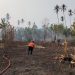 BNPB mencatat kebakaran hutan dan lahan seluas 7,22 hektare di Sulawesi Tengah, Sulawesi Selatan, dan Kepulauan Bangka Belitung pada 17–19 Oktober 2026.