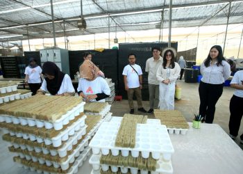 AstyFarm mencatat pertumbuhan nilai transaksi 52% di Tokopedia dan TikTok Shop, menjangkau 42 kota, serta memperluas lahan produksi menjadi 12 hektare.