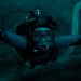 Sinopsis Whalefall, Austin Abrams Terjebak di Perut Paus Raksasa
