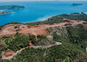 357,5 Hektare Lahan Raja Ampat Terbakar, Pemadaman Berlanjut
