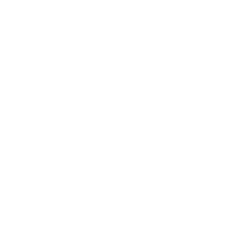 Cardio Step