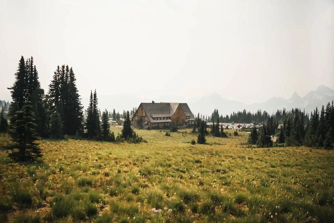 From Overconsumption to Sustainability: How Slow Living Supports Our Planet