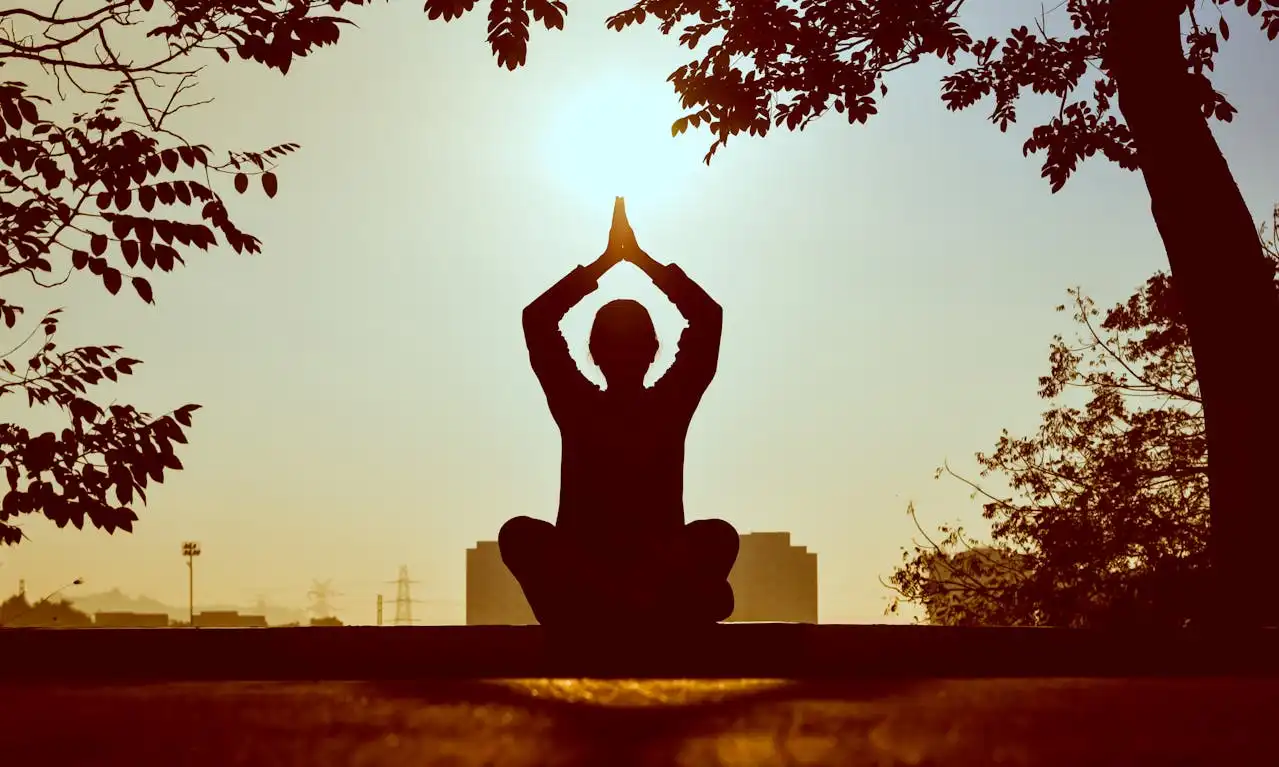 Why Is Meditation Important?: Uncovering the Amazing Benefits of Meditation for Mental Well-Being