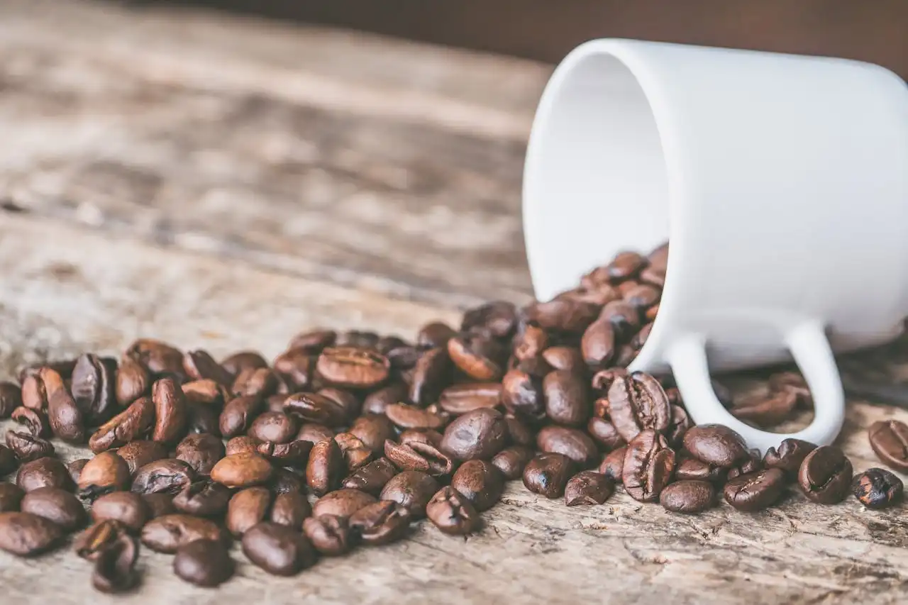 The Good Side of Caffeine: Understanding How Coffee's Main Stimulant Works on Your Body