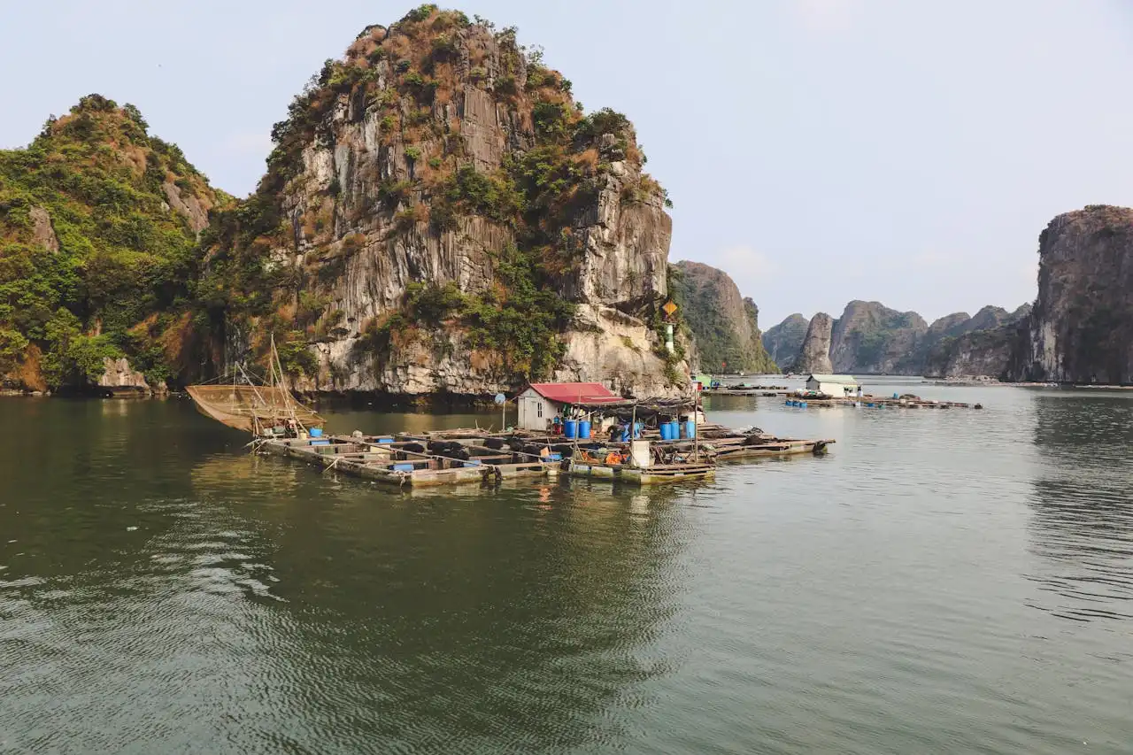 Hạ Long Bay Cruises: A Slice of Paradise, Served with Unforgettable Luxury