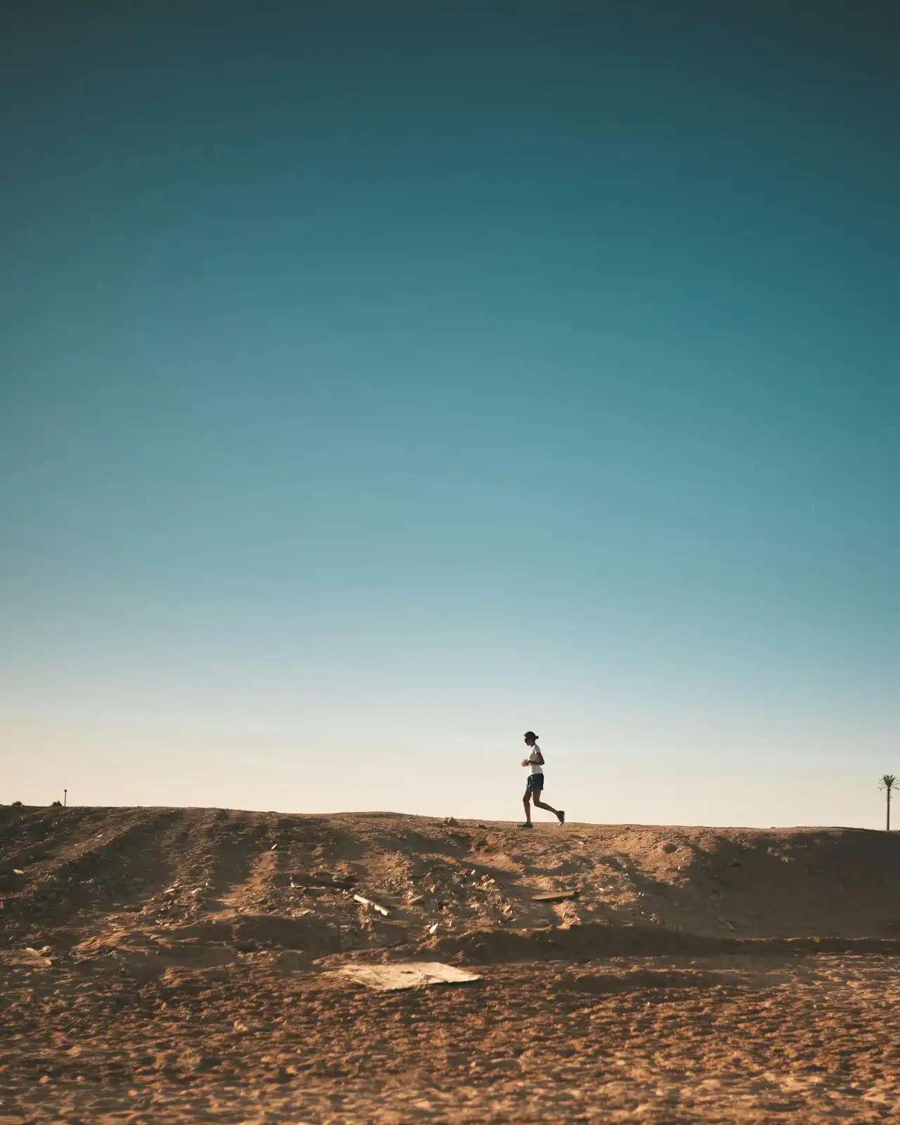 Fueling Your Run: What to Eat (and Avoid!) Before You Hit the Pavement