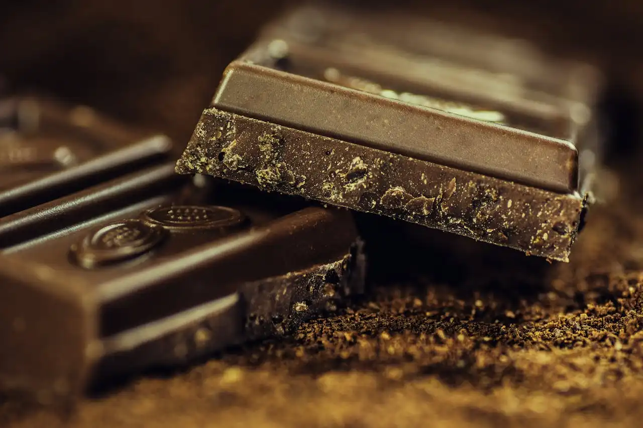 Chocolate: From "Drink of the Gods" to Your Go-To Snack – A Sweet, Wild Ride Through History