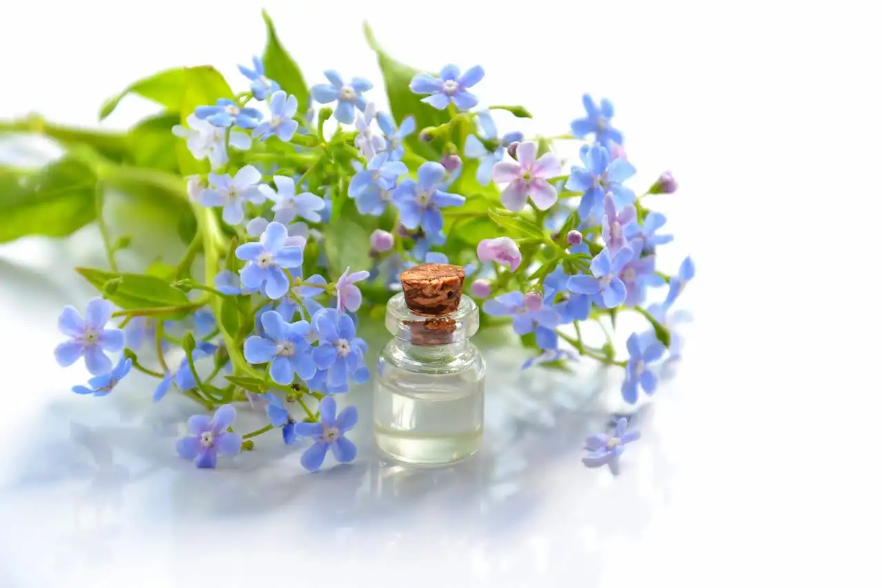 Your Chill Zone: Unlocking Inner Peace with Scents That Speak to Your Soul
