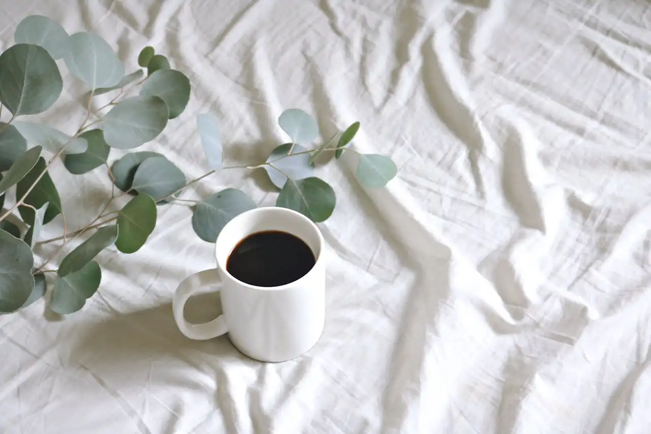 Burn Fat and Boost Energy: How Coffee Supports Your Fitness Goals