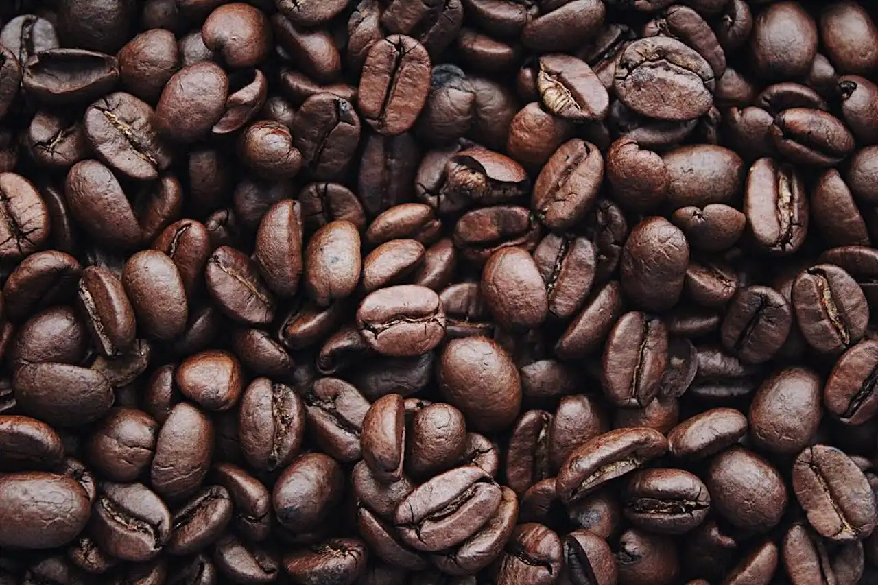 Coffee That Transports You: Explore Indonesia's Brews