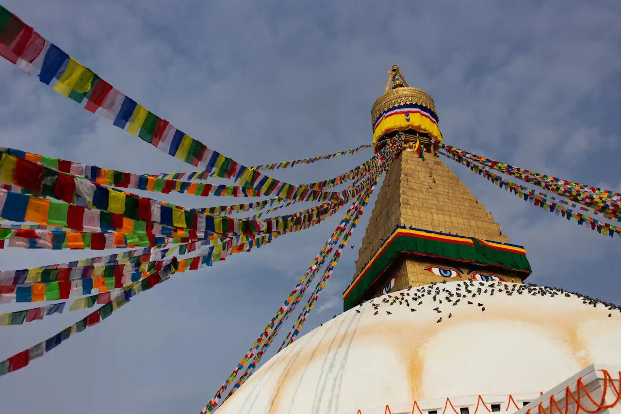 More Than Just Mountains: Nepal's Hidden Wildlife Wonderland