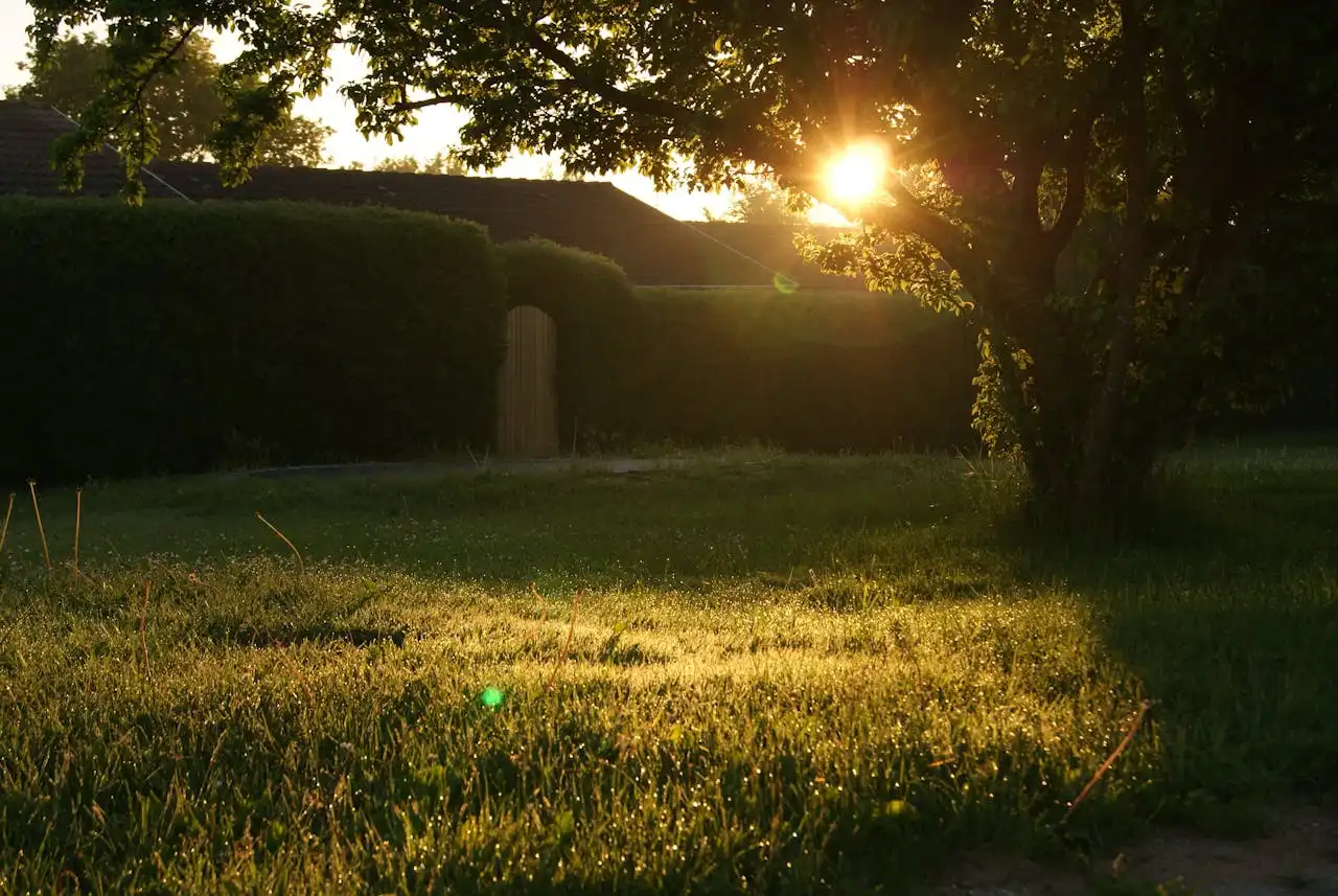 The Morning Ritual: How Successful People Own Their Day Before It Even Begins