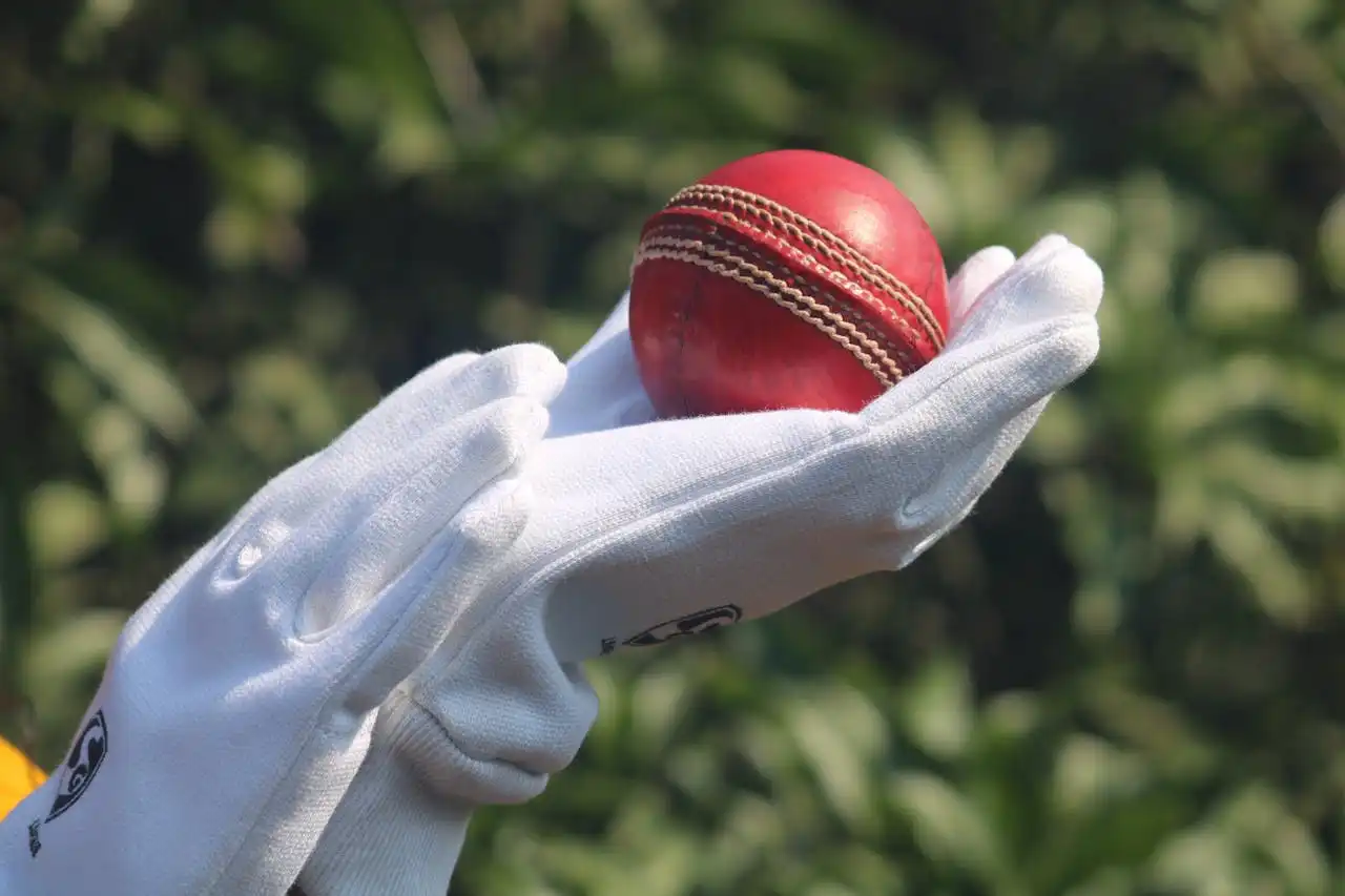 Cricket's Unexpected Pitch: Unpacking the Willow and Wickets in Indonesia