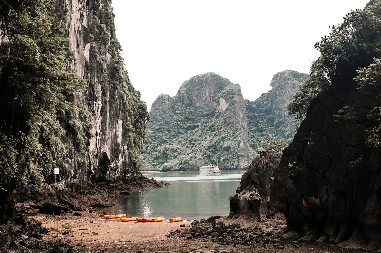 Taste Hạ Long: An Authentic Culinary Journey